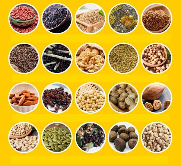 OIL SEEDS